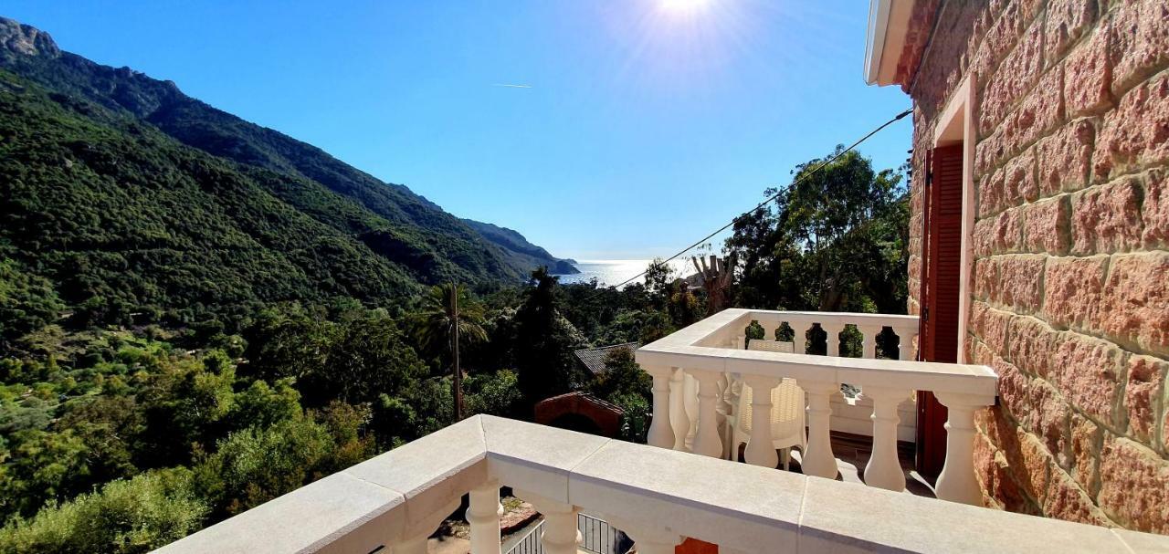 Hôtel Bella Vista Porto (Corsica) Exterior foto